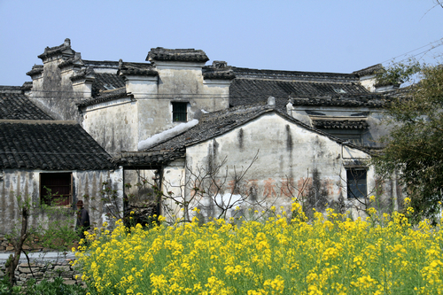 国医馆环境