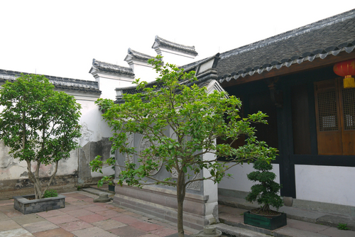 国医馆环境
